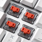 Sharkoon PureWriter TKL RGB Gaming Μηχανικό Πληκτρολόγιο Tenkeyless με Kailh Red διακόπτες και RGB φωτισμό (Αγγλικό US) Λευκό - Image 2